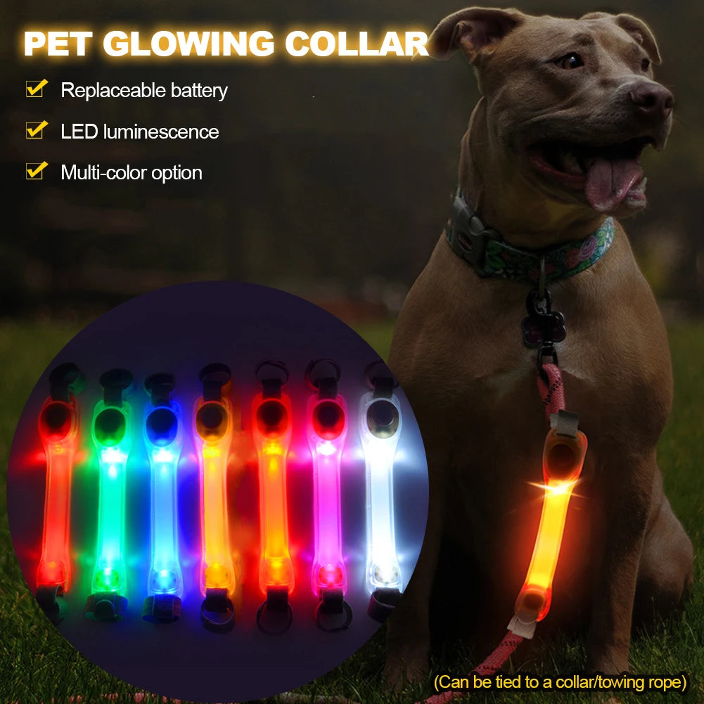 LED Dog Safety Collar