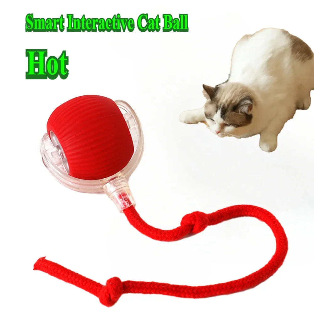 Electric Rolling Cat Toy